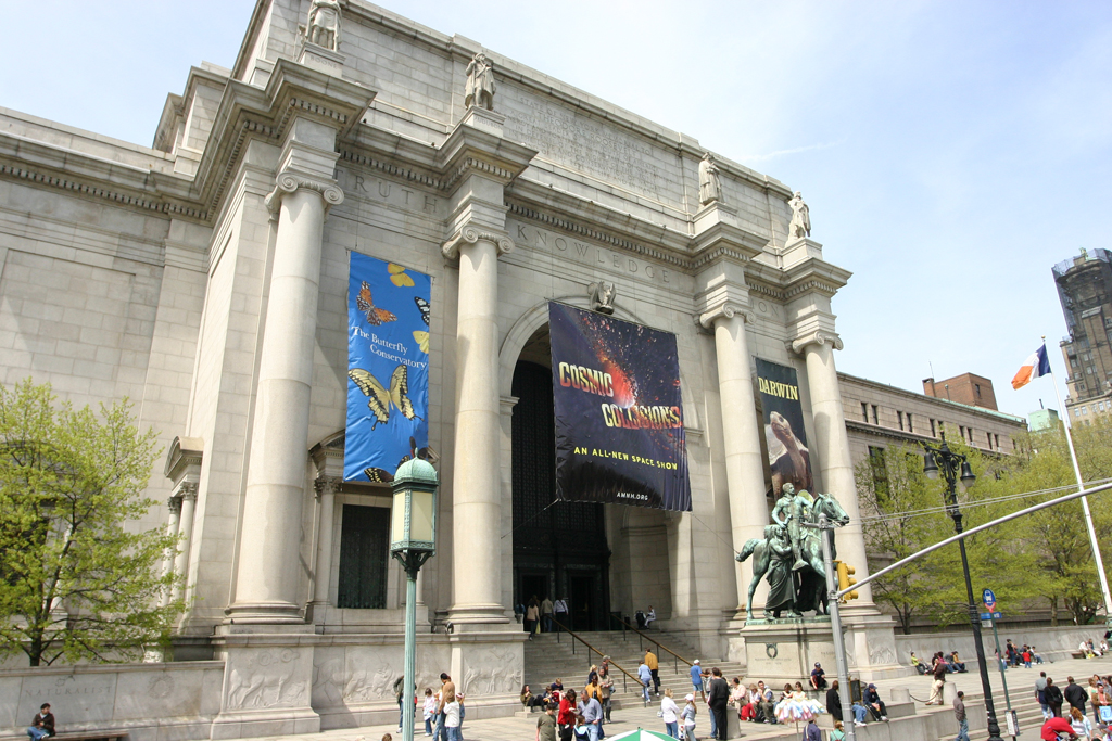 American Museum Of Natural History Museeum
