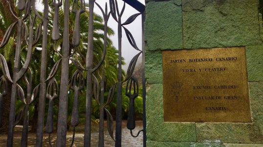 Botanical Garden Viera y Clavijo